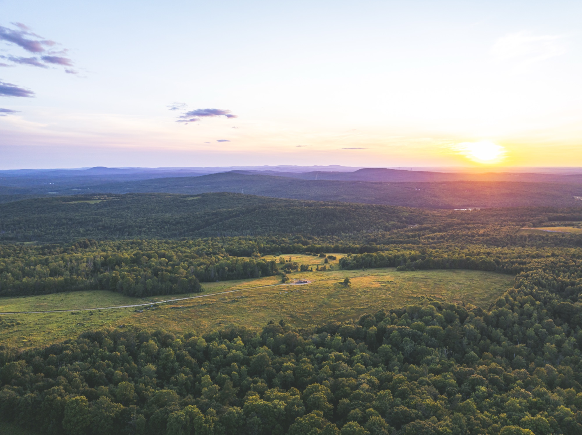 Aerial Grounds & Woods